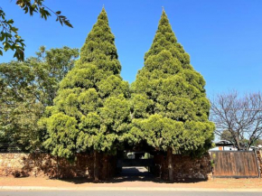 Two Firs Irene